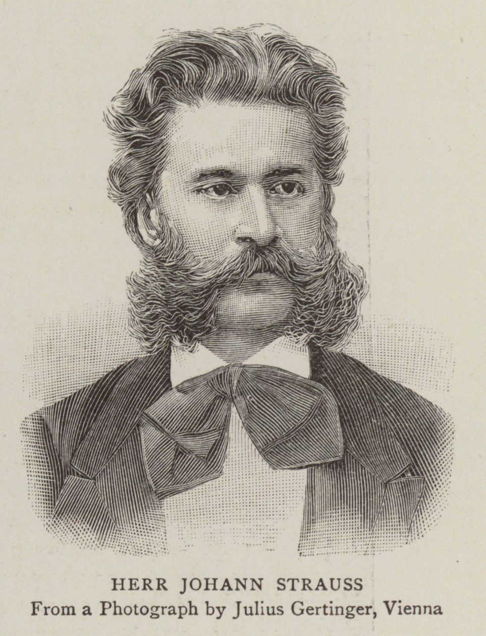 Herr Johann Strauss by English School