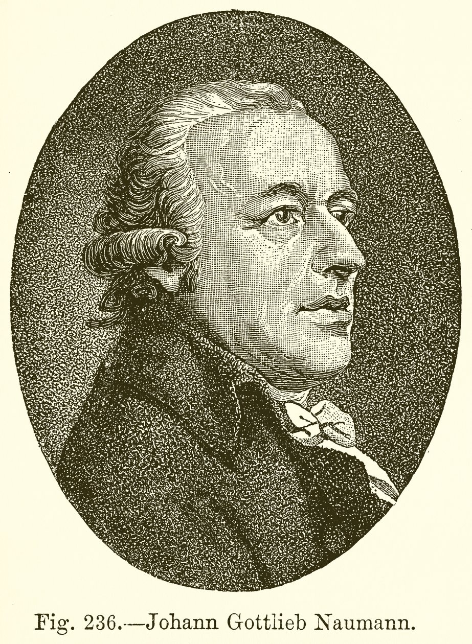 Johann Gottlieb Naumann by English School