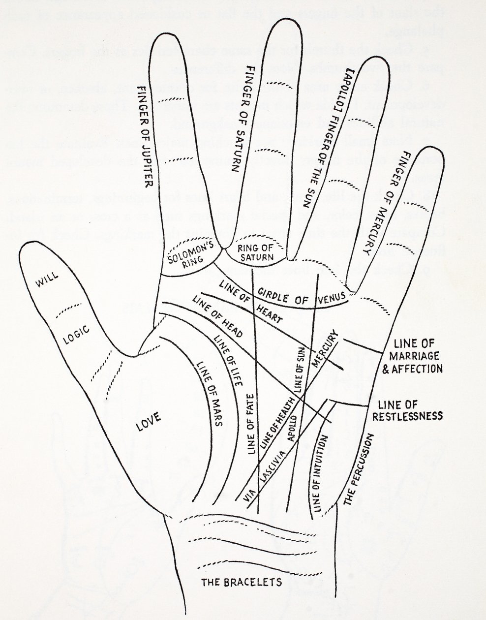 Lines of the Hand by English School