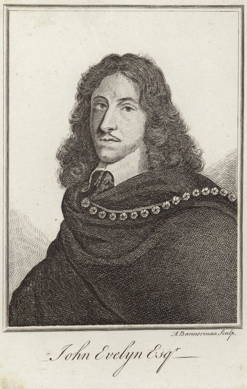 Portrait of John Evelyn by English School