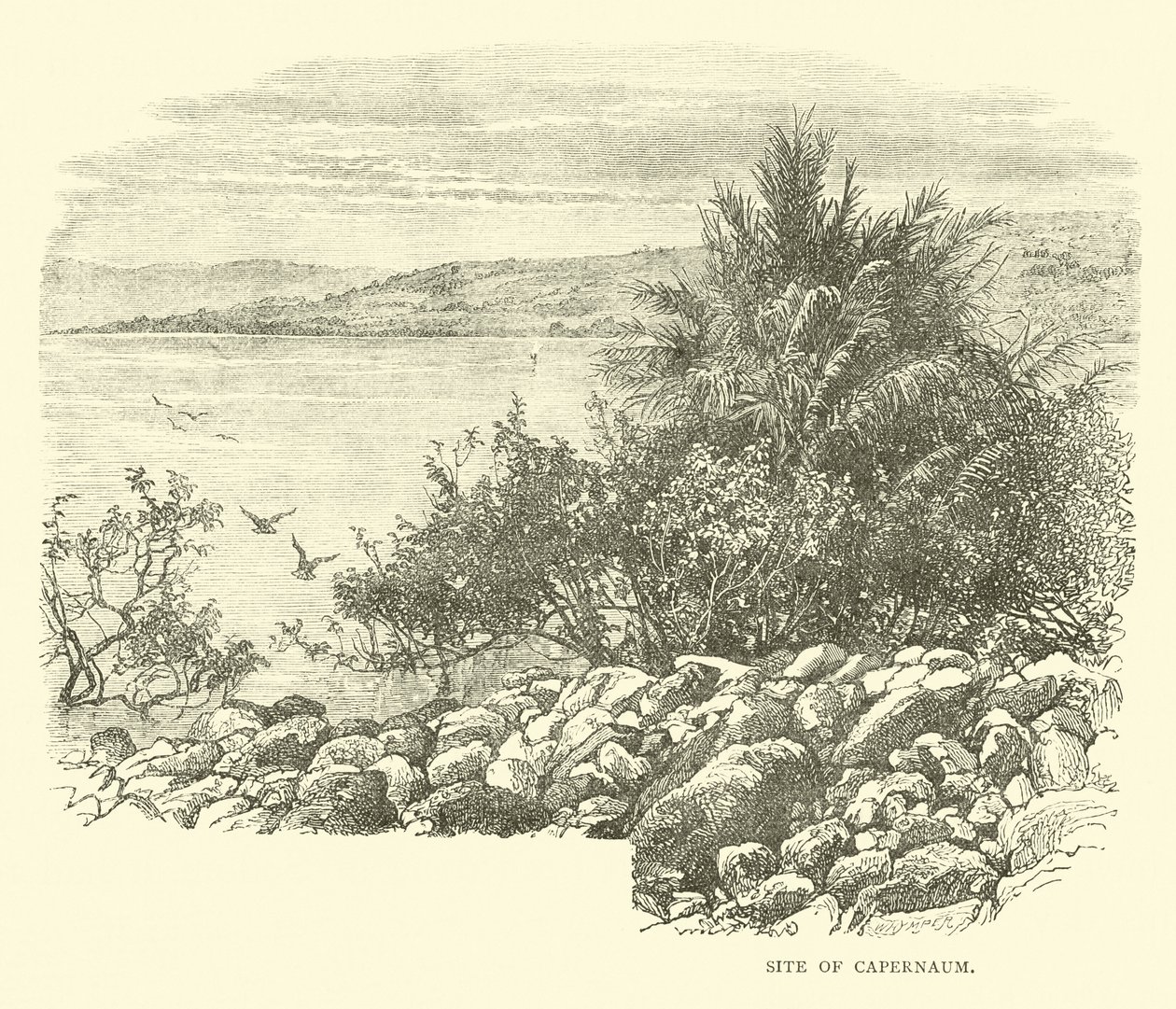 Site of Capernaum by English School