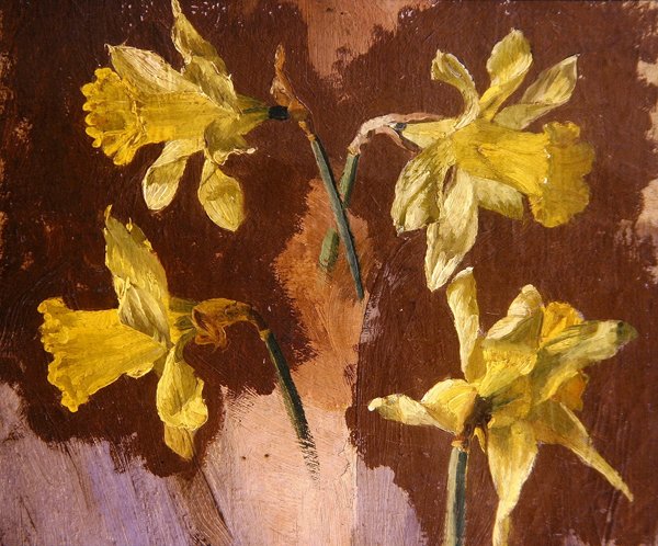 Study of daffodils, c.1830 by English School