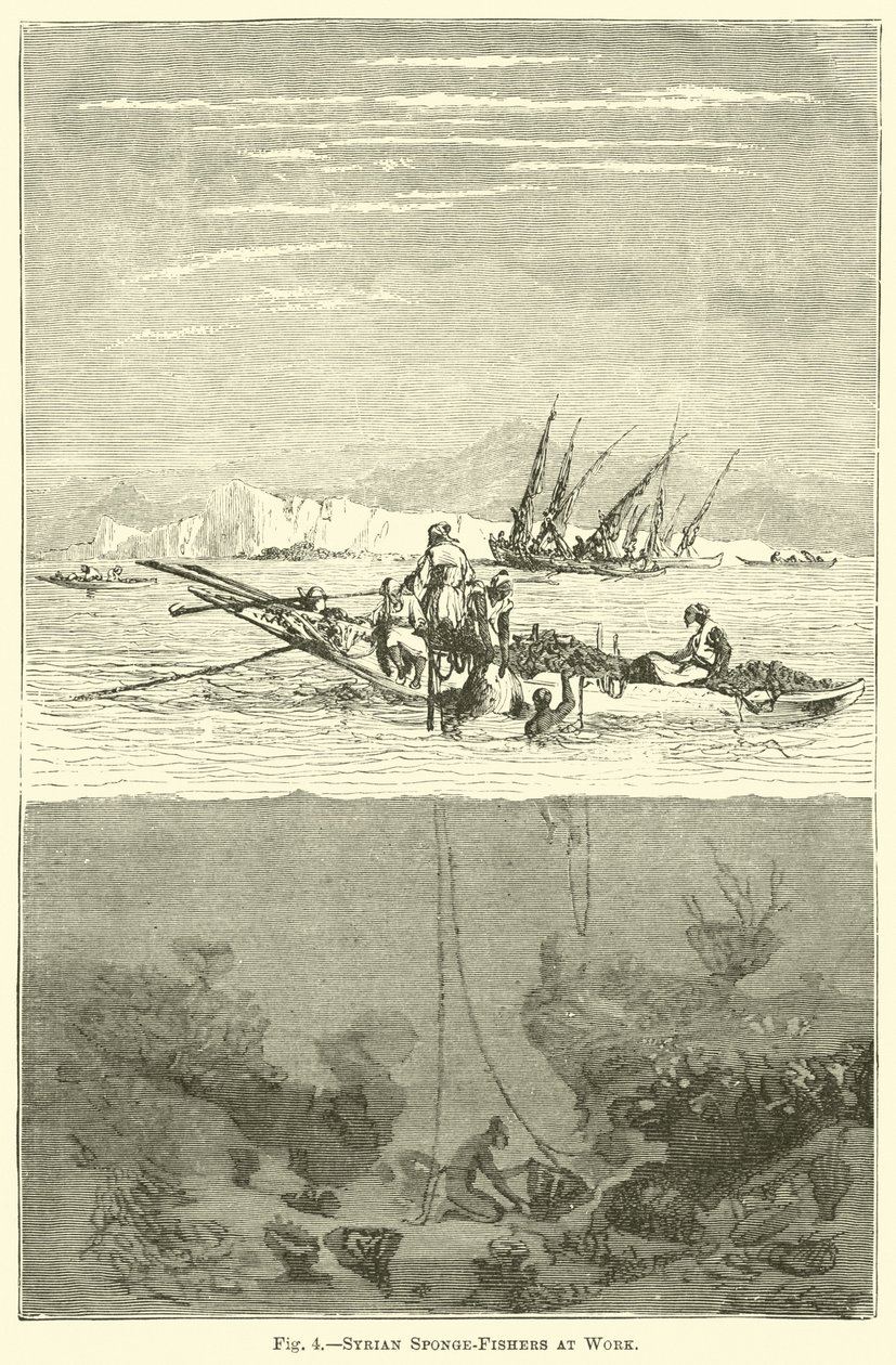 Syrian Sponge-Fishers at Work by English School