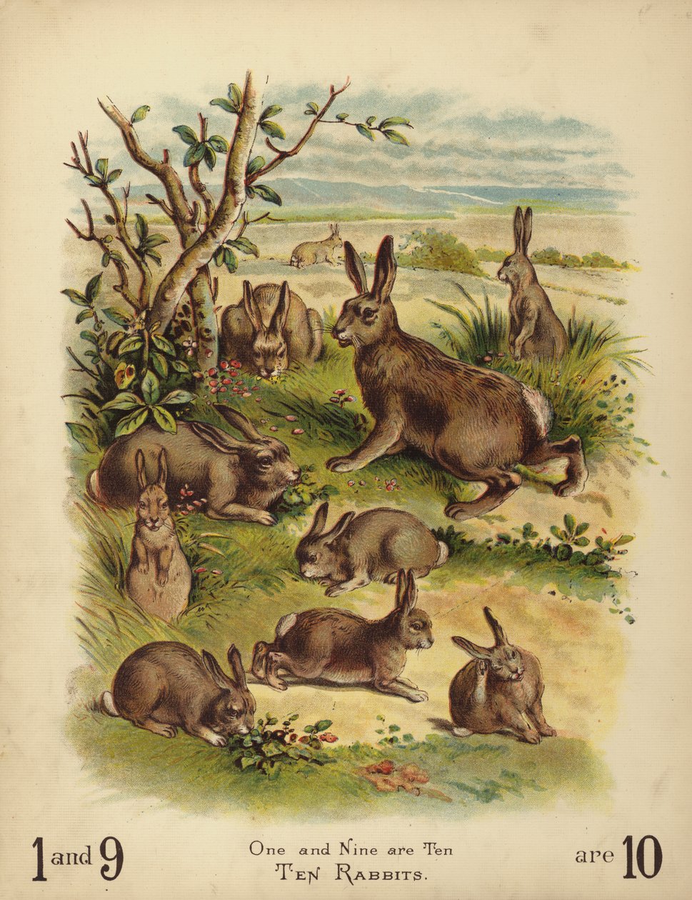 Ten Rabbits by English School