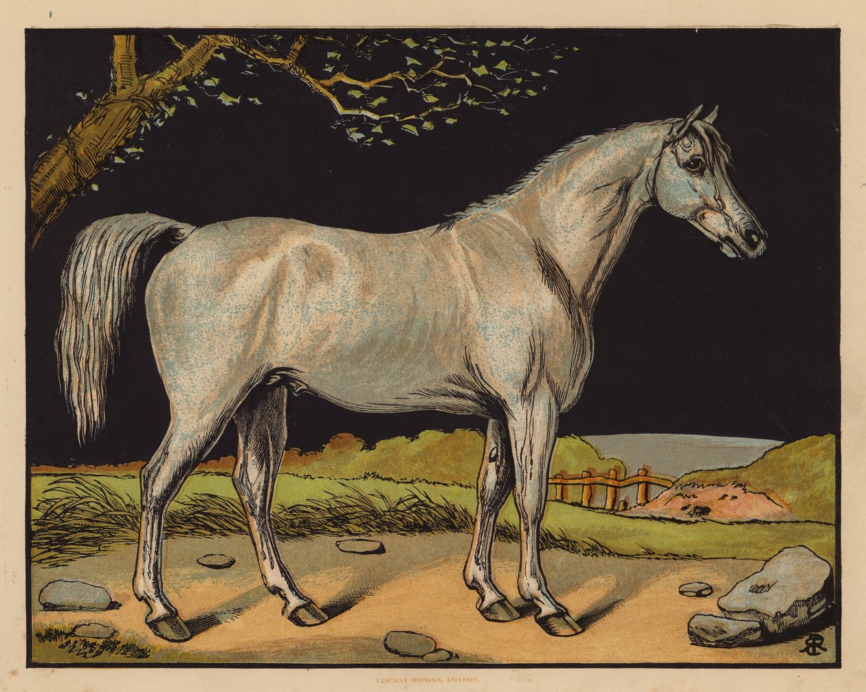 The Horse by English School