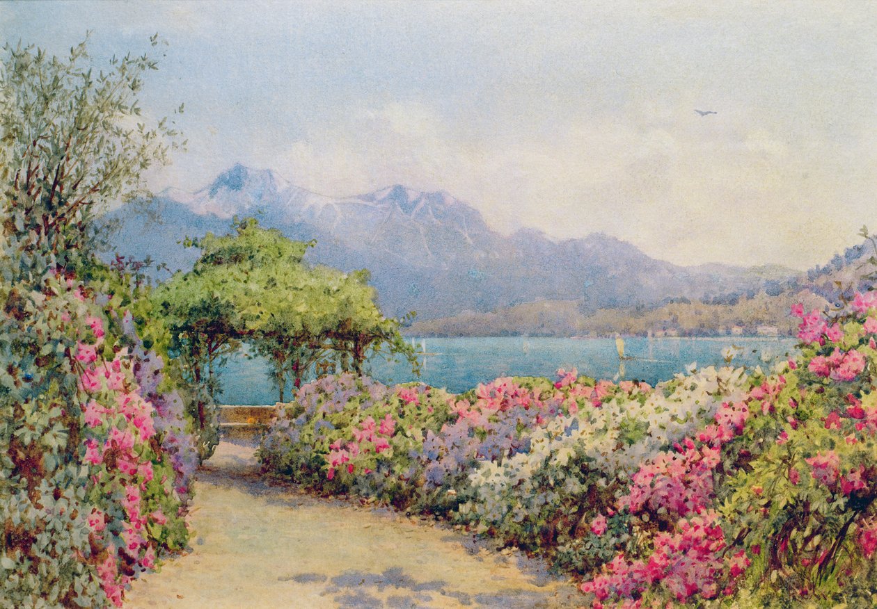Lake Como from the Villa Carlotta by Ernest Arthur Rowe