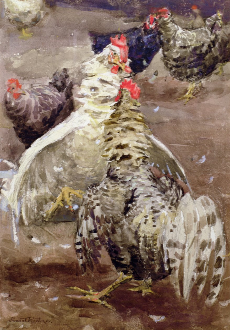 Roosters, 1910 by Ernest Procter