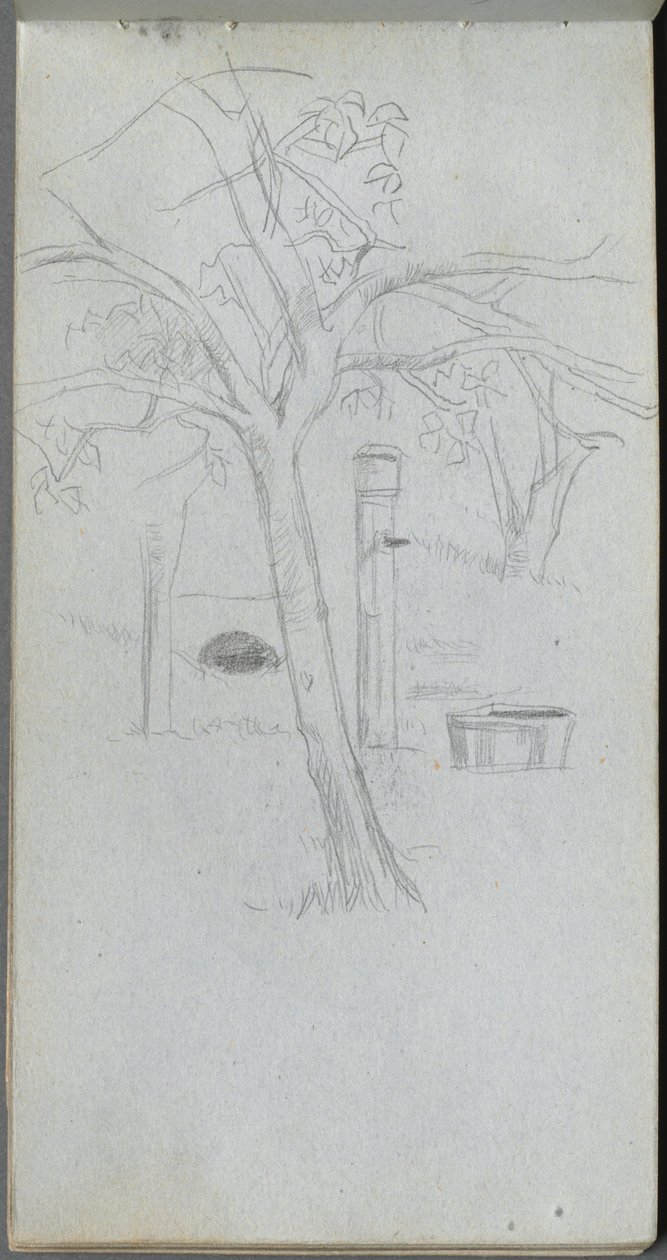 Tree Study (Sketchbook, page 36) by Ernest Meissonier