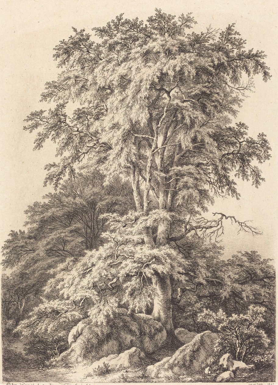 Beech Grove by Eugene Bléry