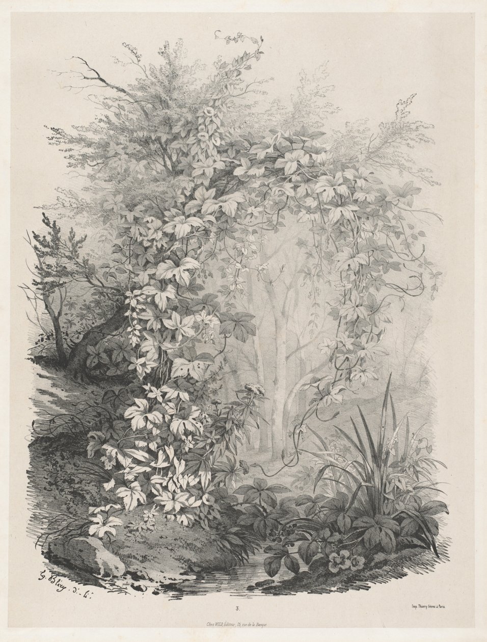 Plants and Ivies by a Stream by Eugene Bléry
