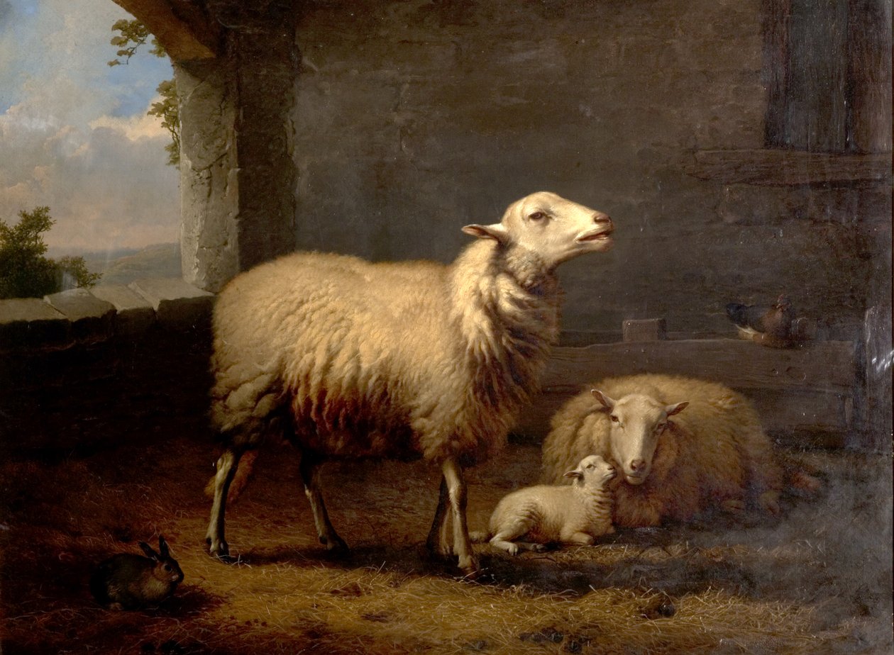 Sheep by Eugene Joseph Verboeckhoven