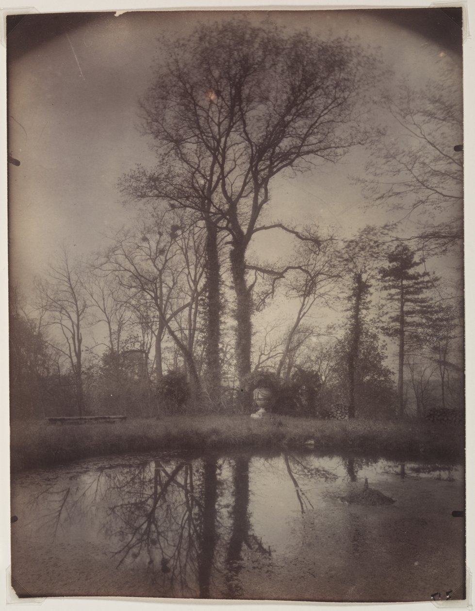 The Park at Sceaux [April 1925, 7a.m.] by Eugène Atget