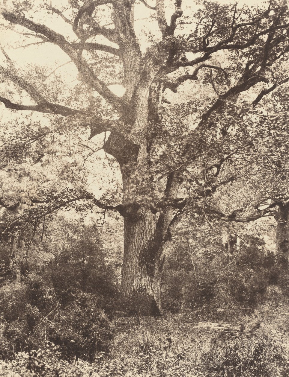 Near Bodmer, 1860s by Eugène Cuvelier