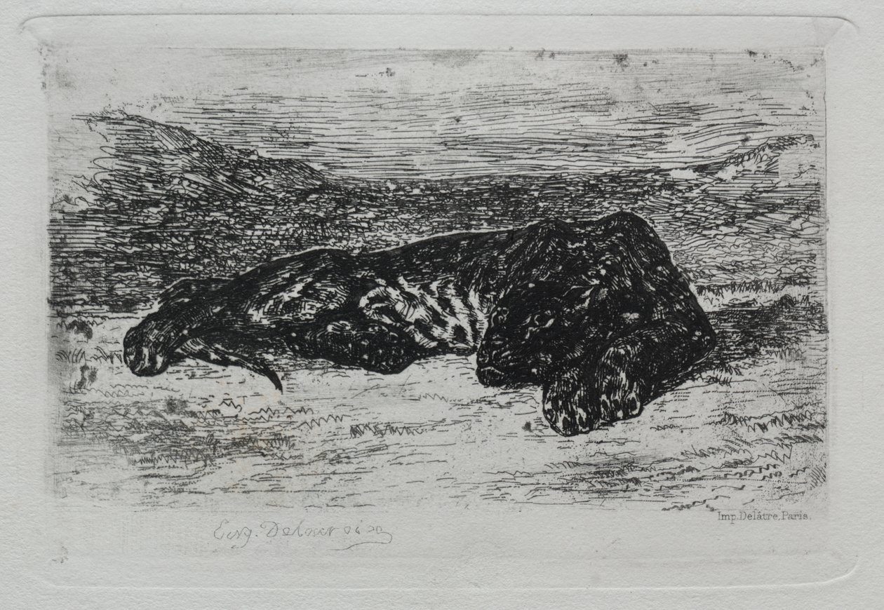 Crouching Tiger in the Desert by Eugène Delacroix
