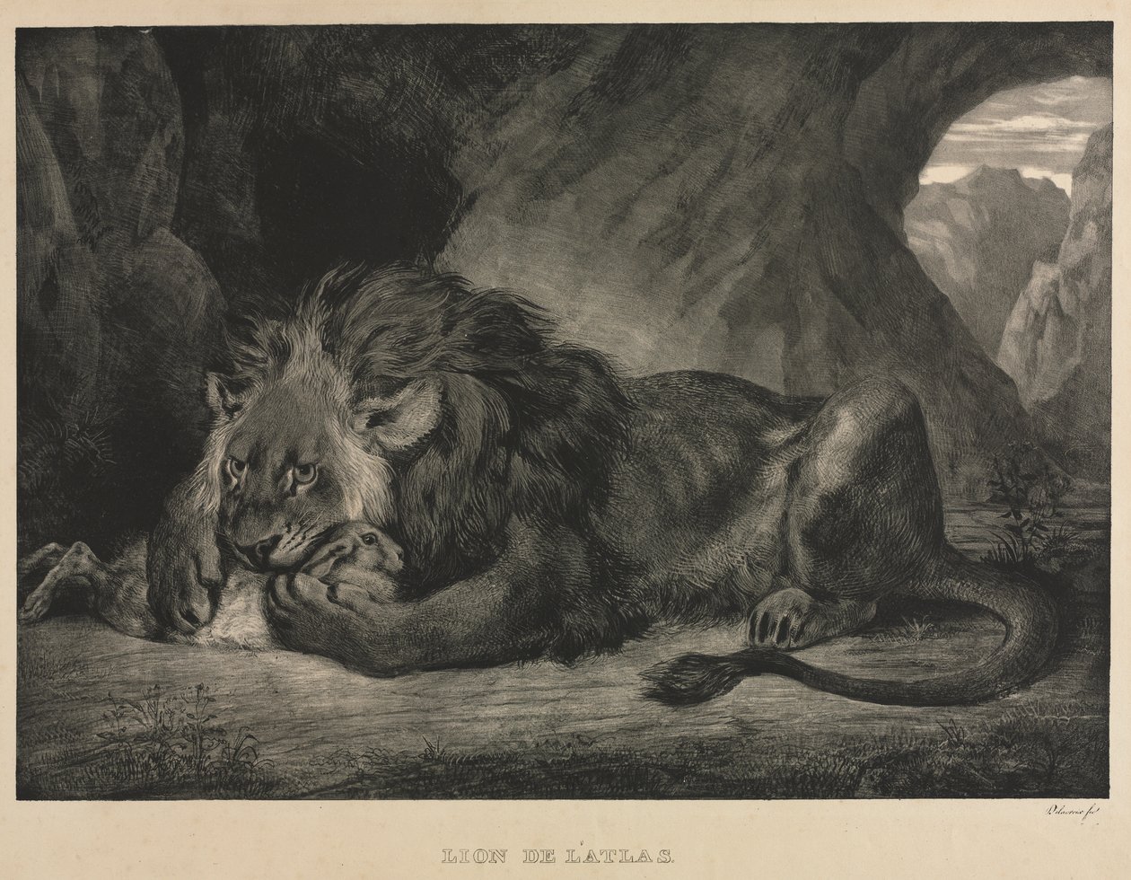 Lion of the Atlas Mountains by Eugène Delacroix