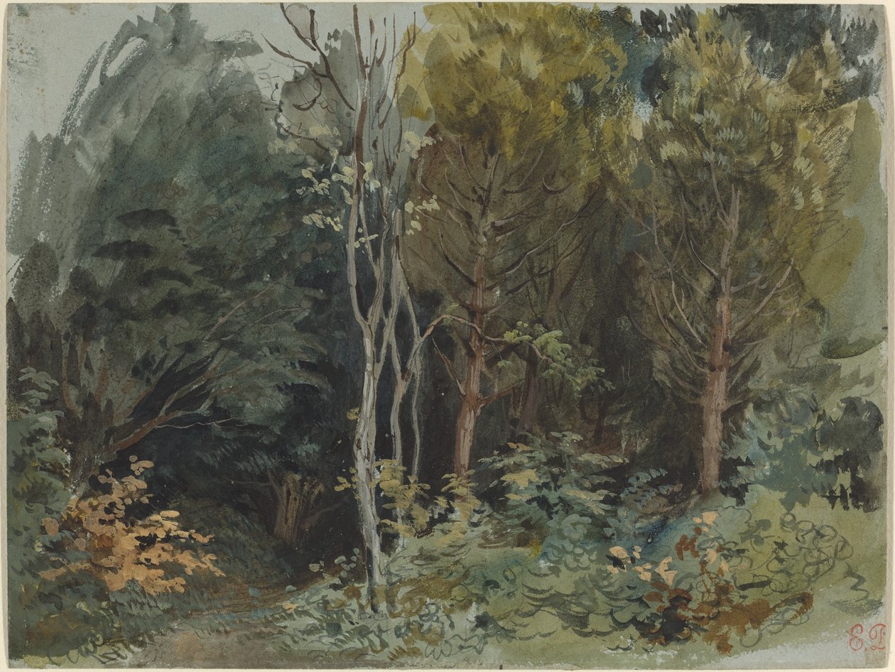 The Edge of a Wood at Nohant by Eugène Delacroix