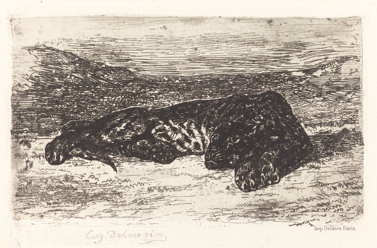 Tiger Sleeping in the Desert by Eugène Delacroix