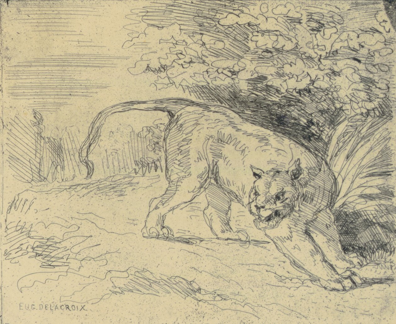 Tiger on Alert by Eugène Delacroix