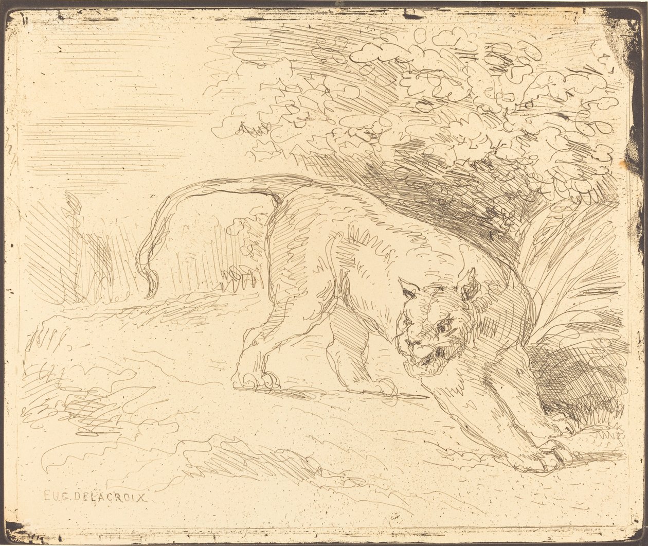 Tiger in Arrest by Eugène Delacroix