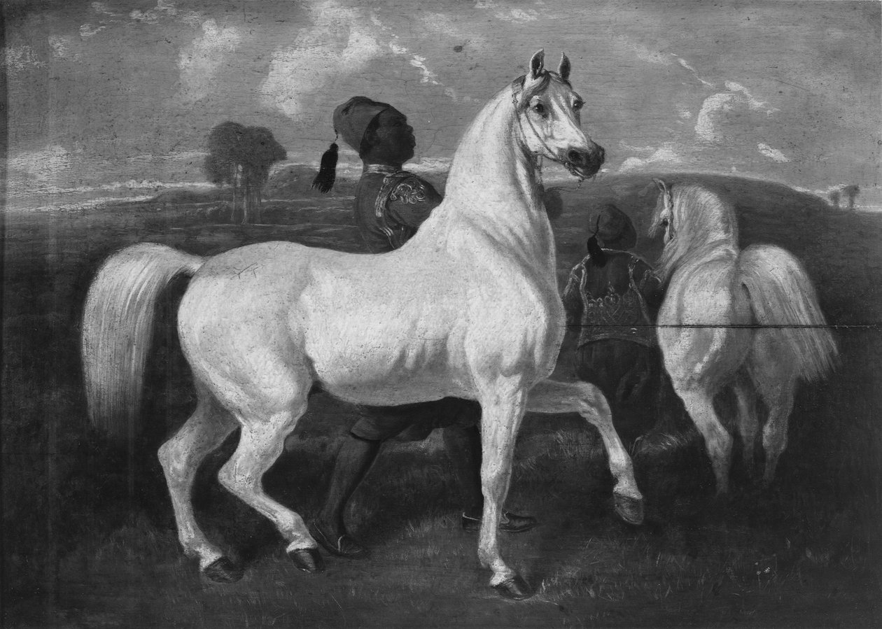 Arabian Horses by Eugène Fromentin