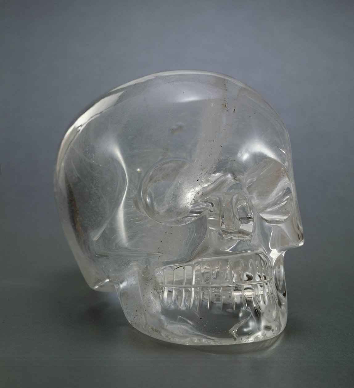 Skull by European