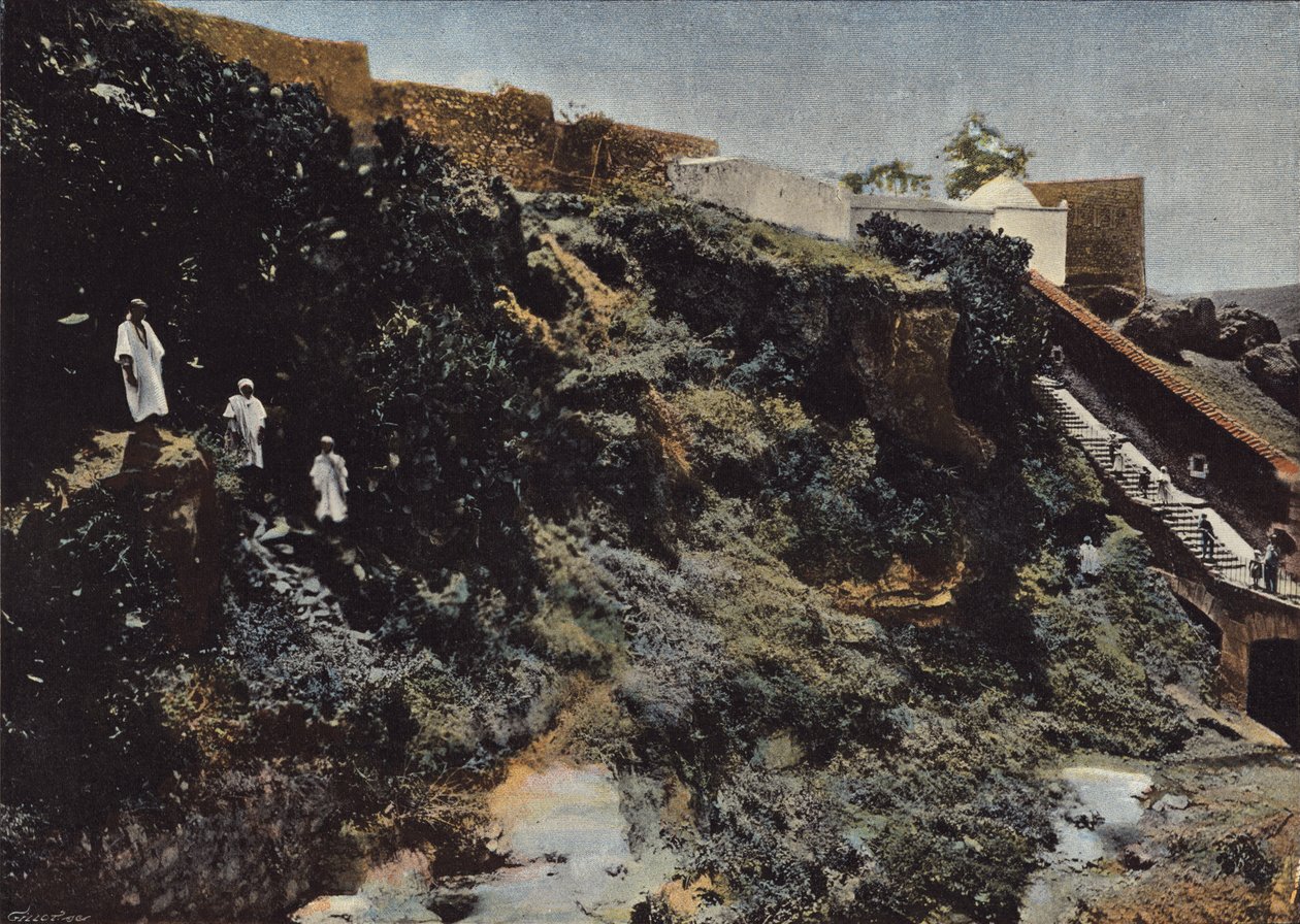 Ravine of Oued-Toudman, in Mascara by European Photographer