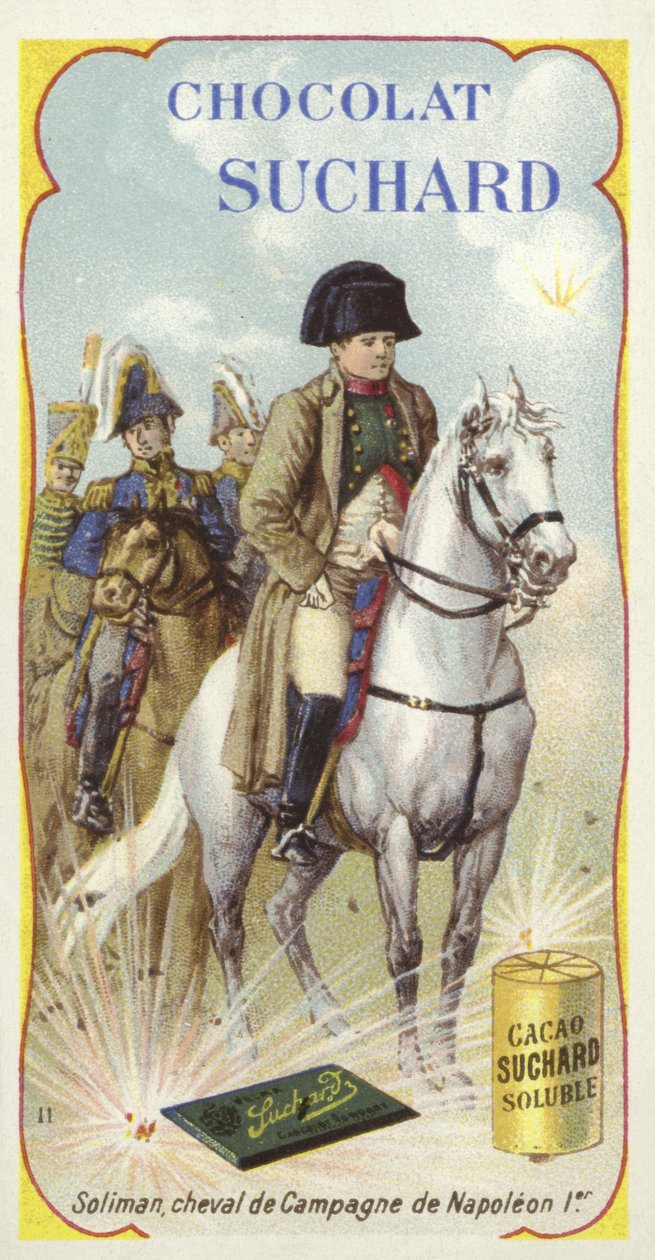 Soliman, War Horse of Napoleon by European School