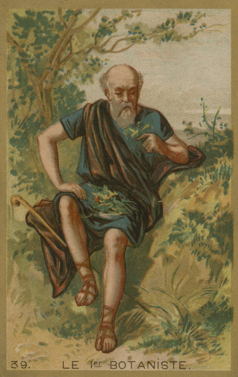 The first botanist by European School