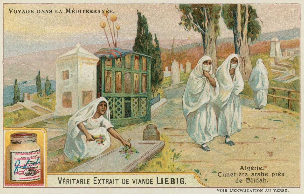 Cemetery Near Blida in Algeria by European School