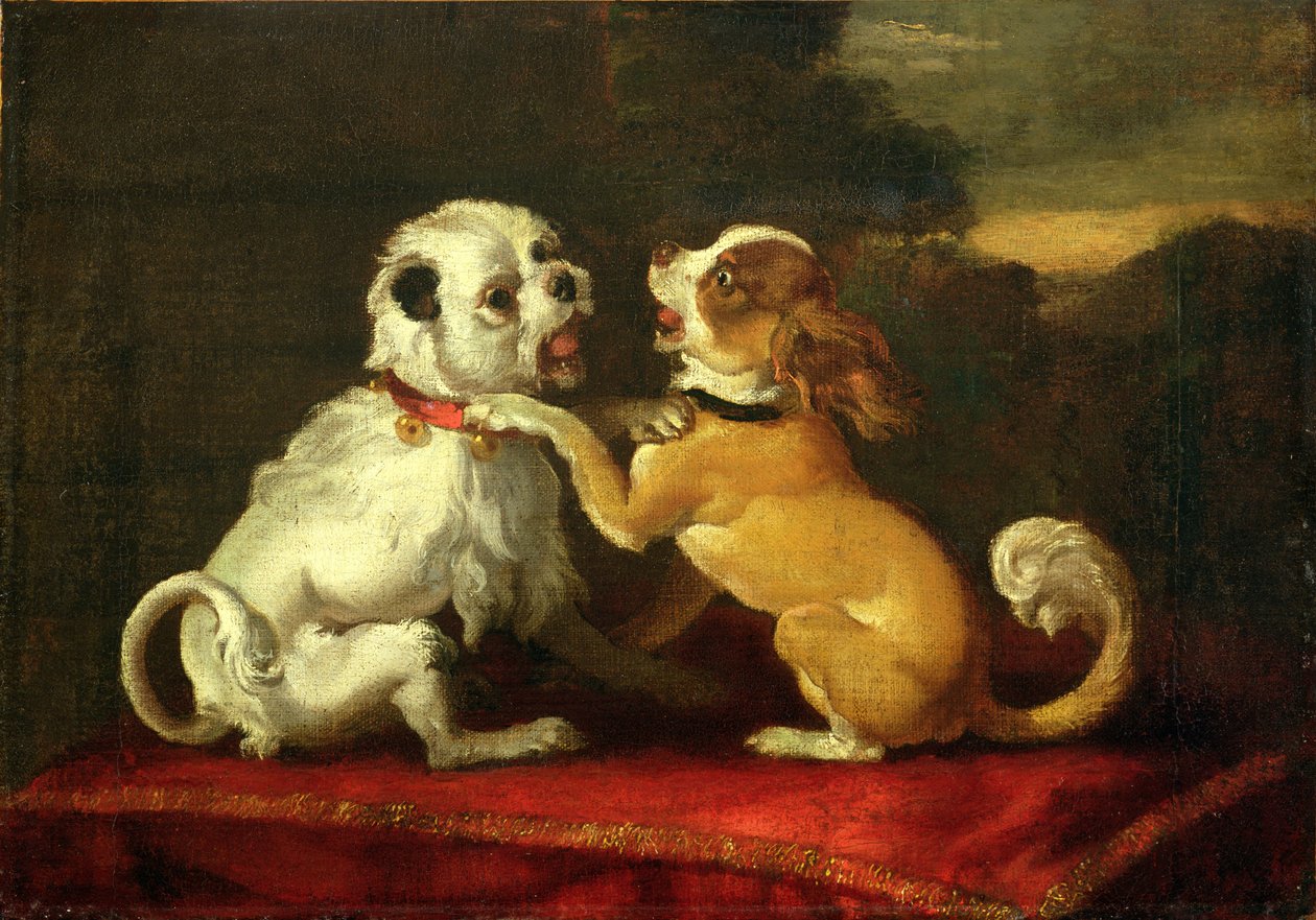 Dogs at Play by European School