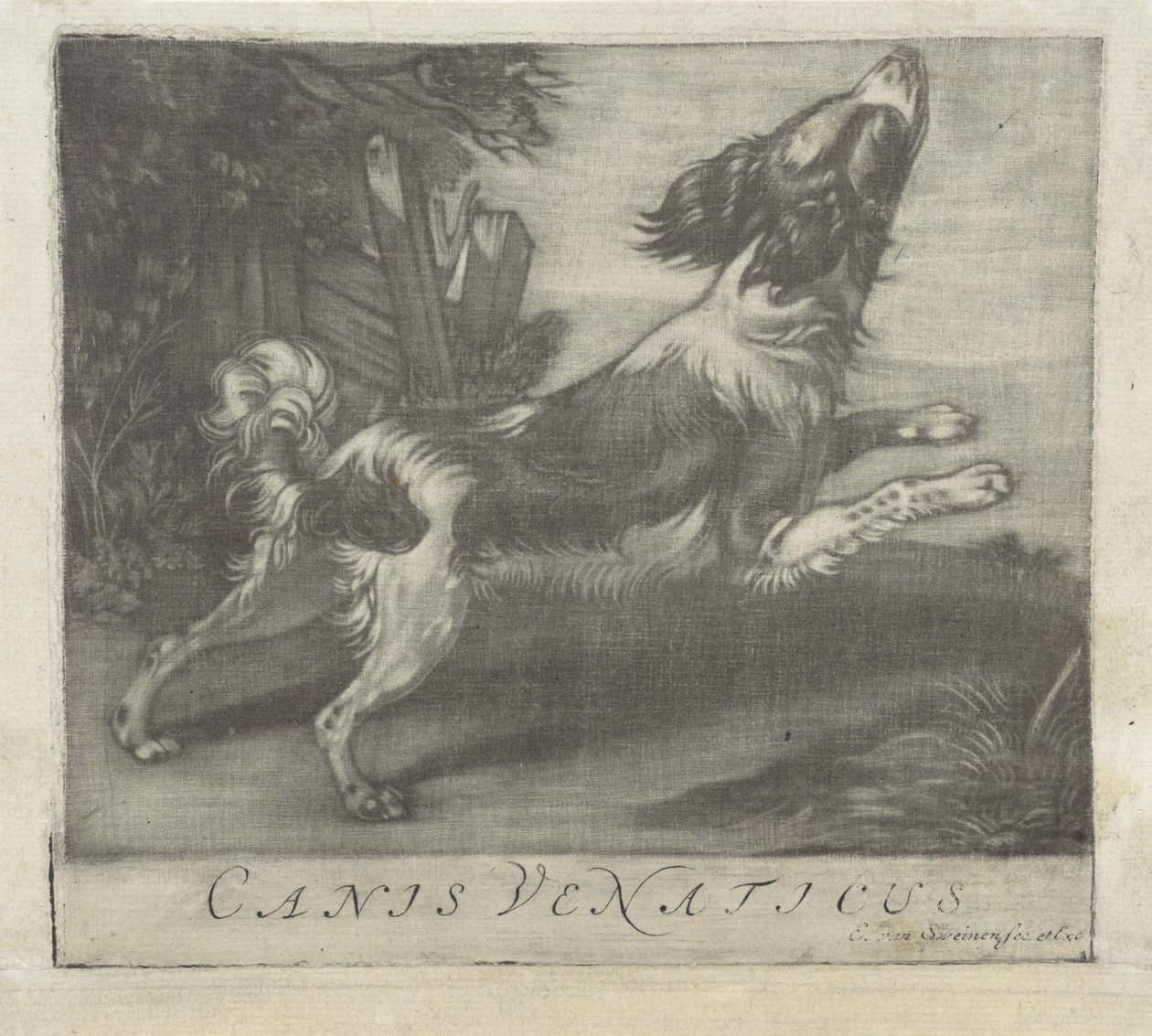 Jumping Dog, Canis Venaticus (title on object) by Evert van Sweinen