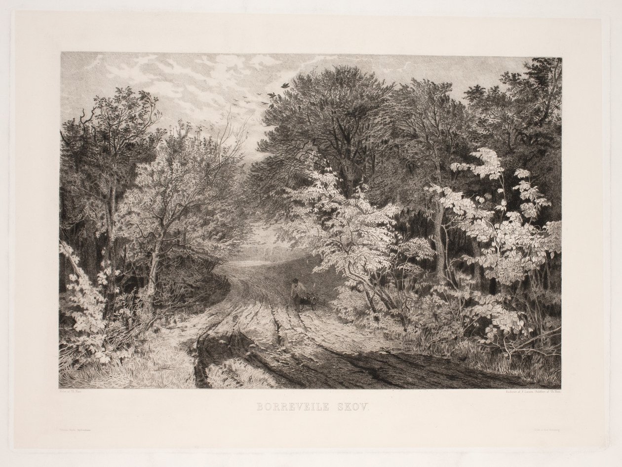 Borrevejle Forest by F. Larsen