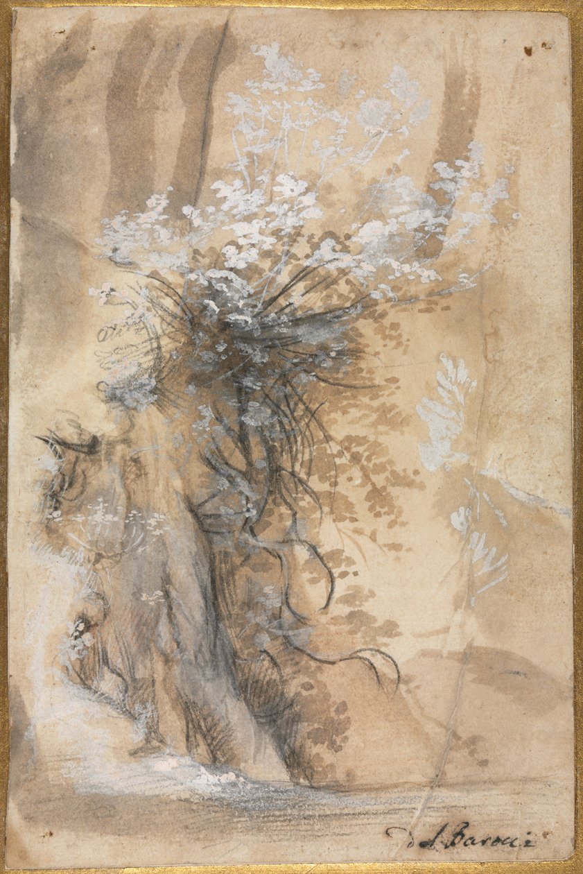 Flowering Bush above an Eroded Bank by Federico Barocci