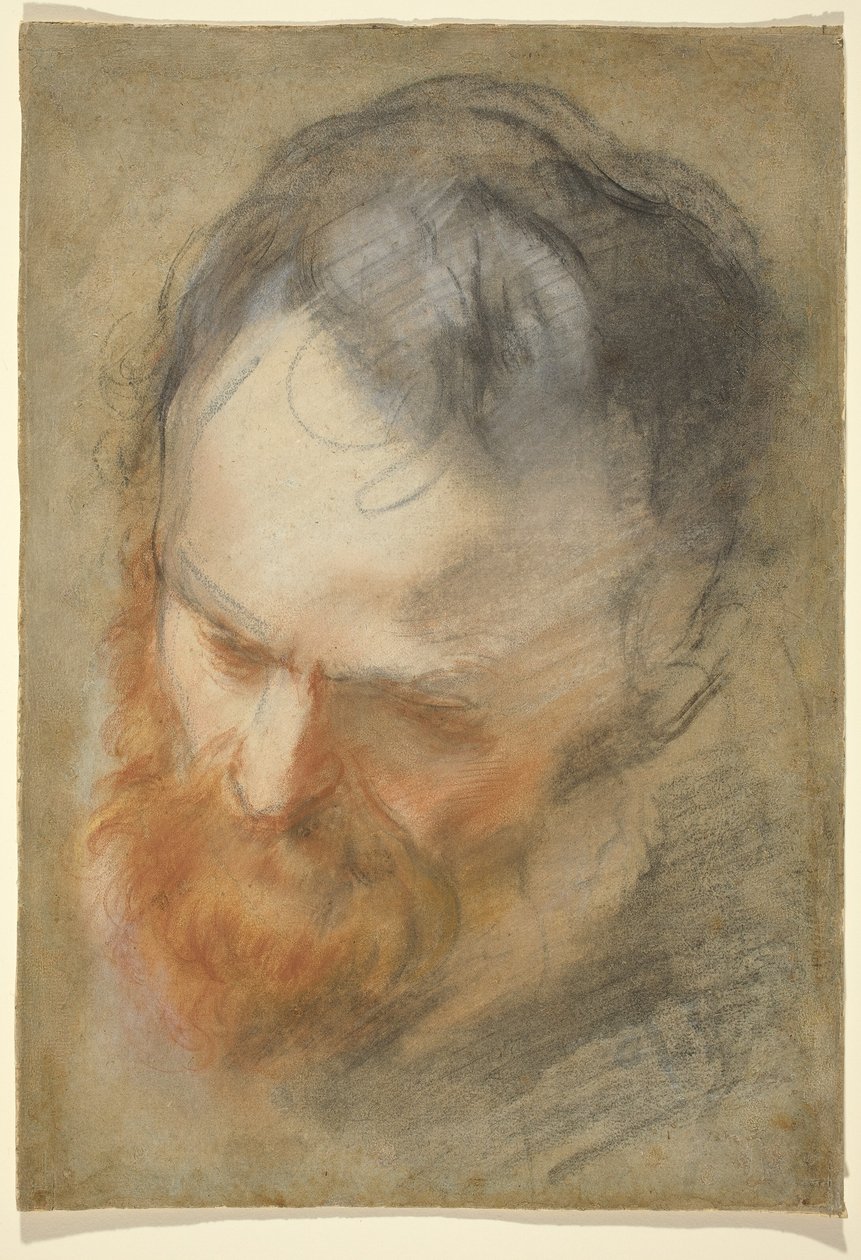 Head of a Bearded Man by Federico Barocci