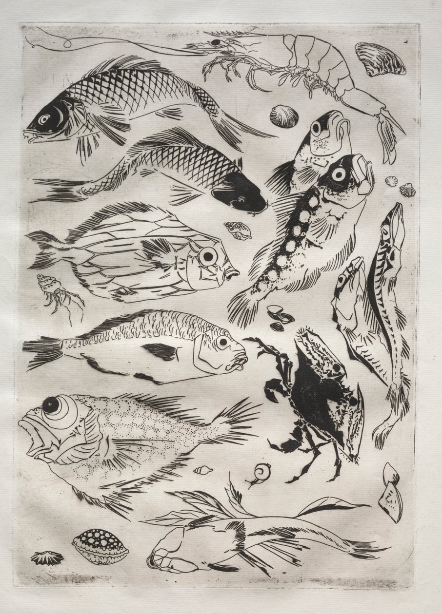 Dinner Service (Rousseau service): Fish (no. 24) by Felix Bracquemond