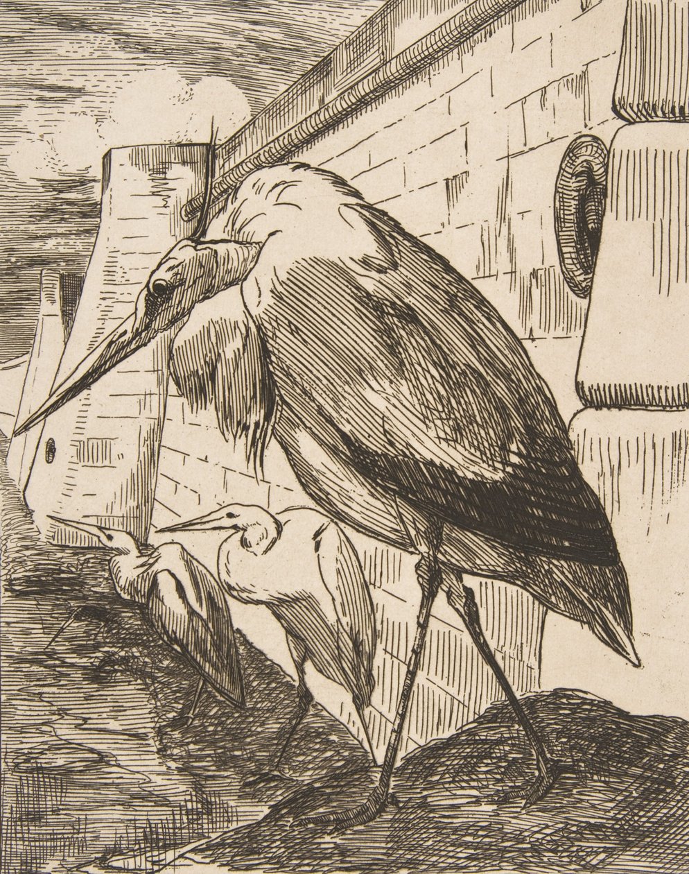 The Storks by Felix Bracquemond