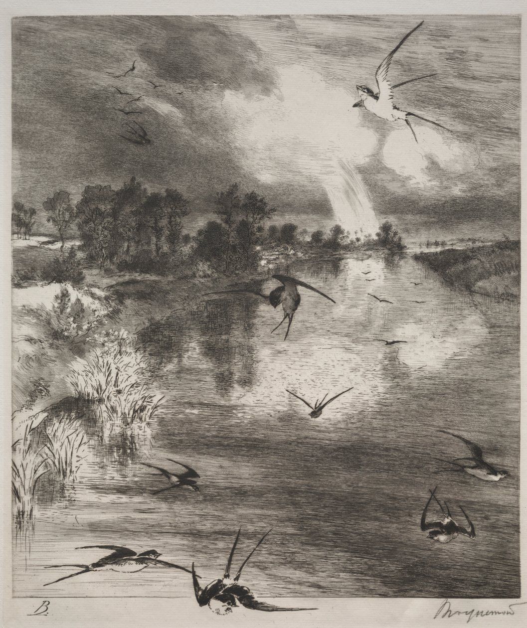 Swallows by Felix Bracquemond