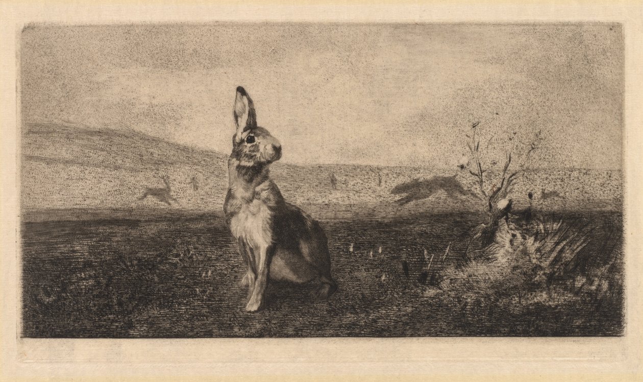 The Hare by Felix Bracquemond