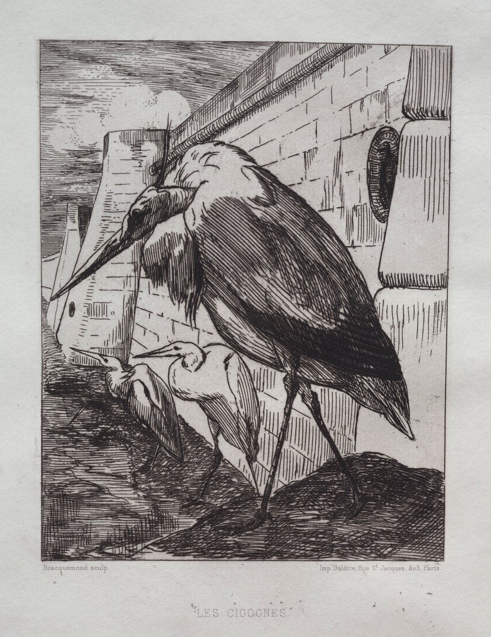 The Storks by Felix Bracquemond