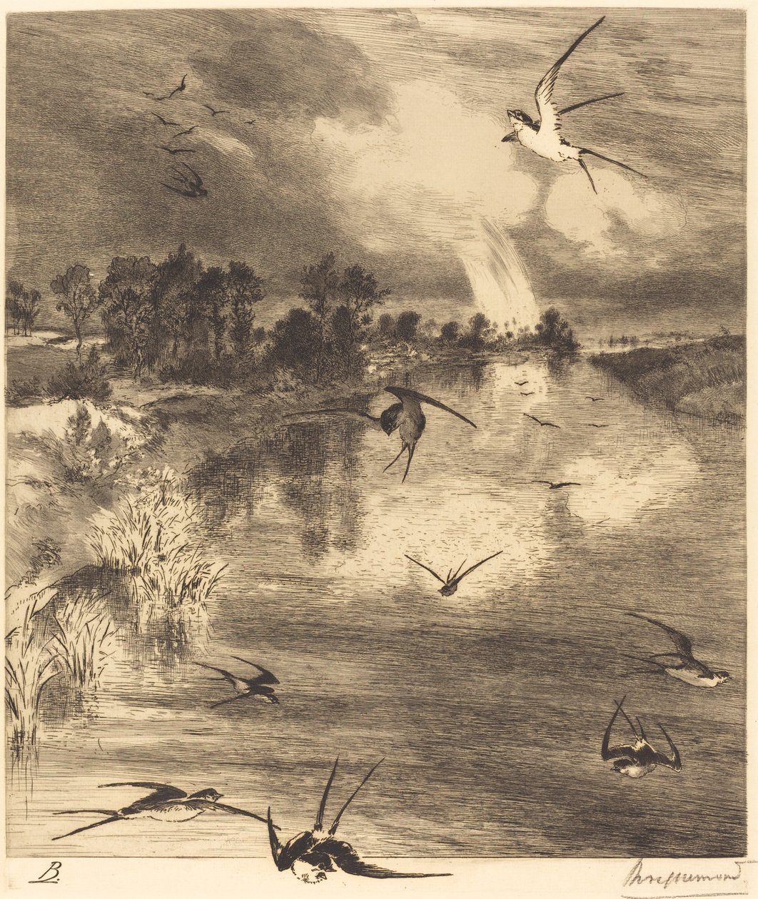 The Swallows by Felix Bracquemond