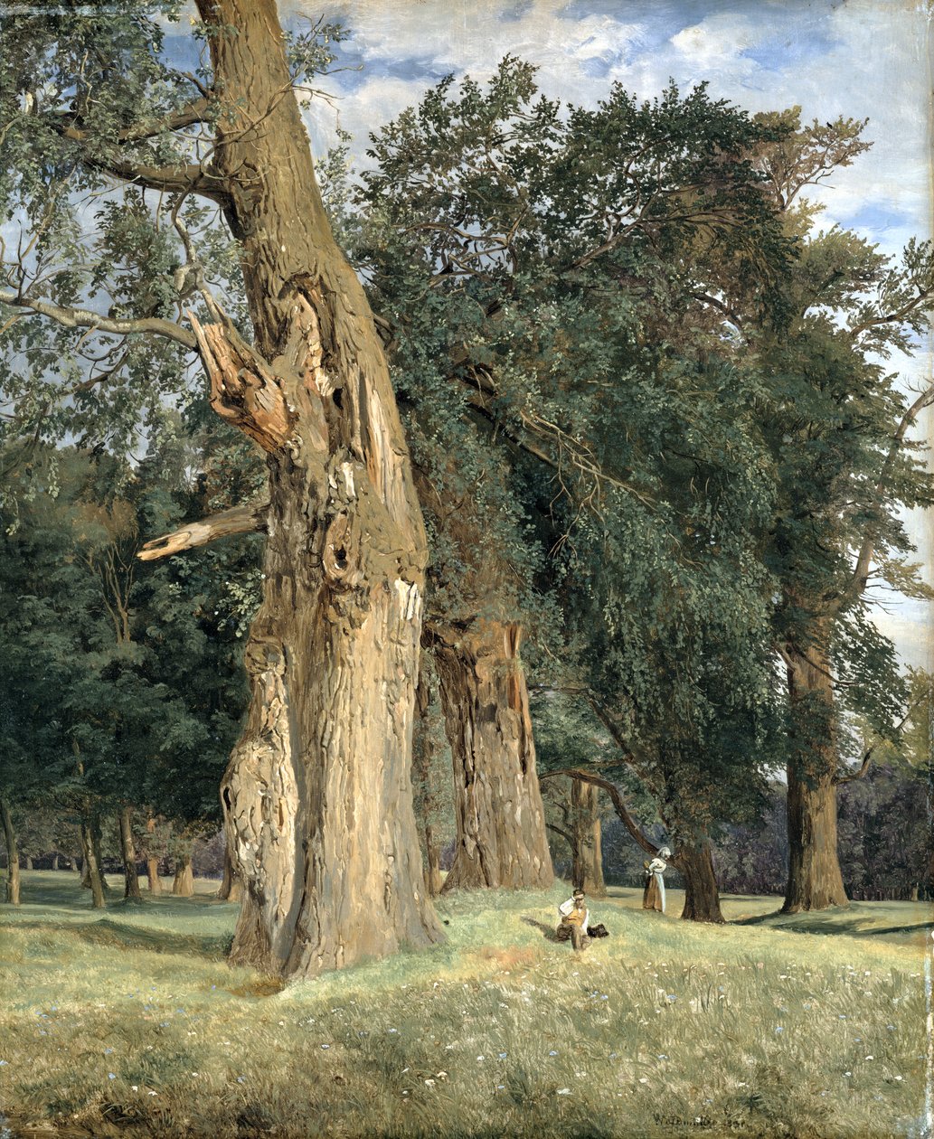 Old Elms in Prater by Ferdinand Georg Waldmuller