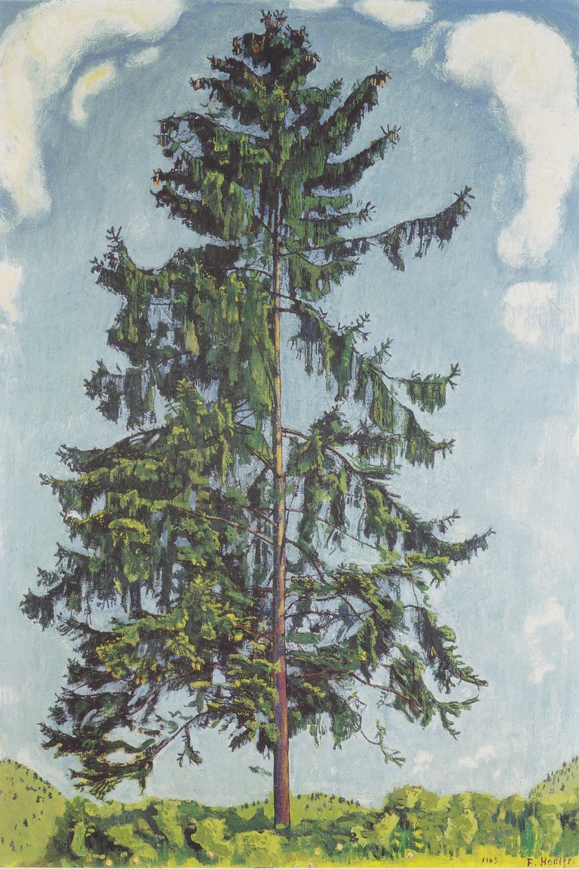 Fir Tree near Chamby by Ferdinand Hodler