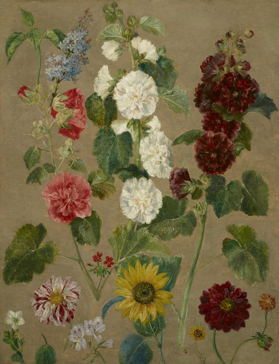 Untitled [Flowers] by Ferdinand Victor Eugene Delacroix