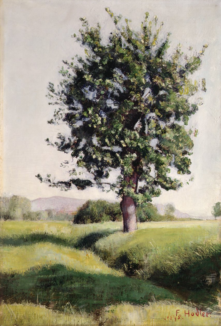 The Tree by Ferdinand Hodler