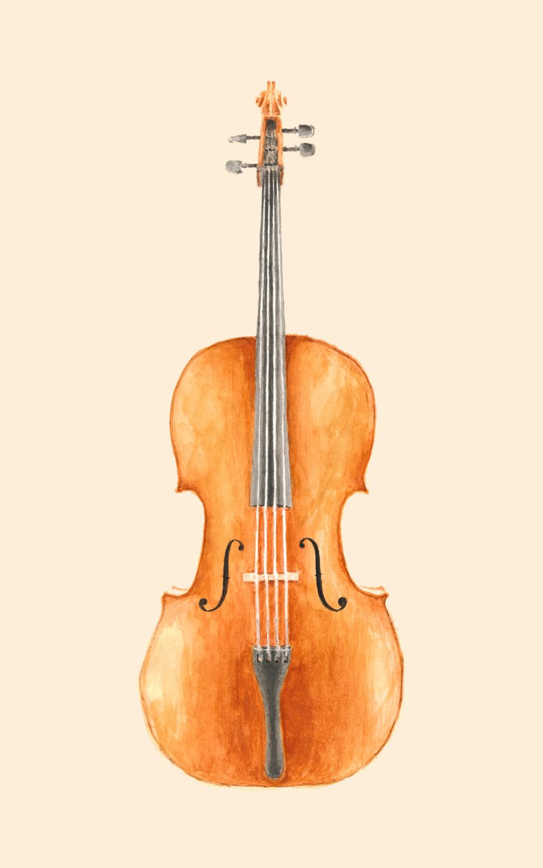 Cello by Florent Bodart