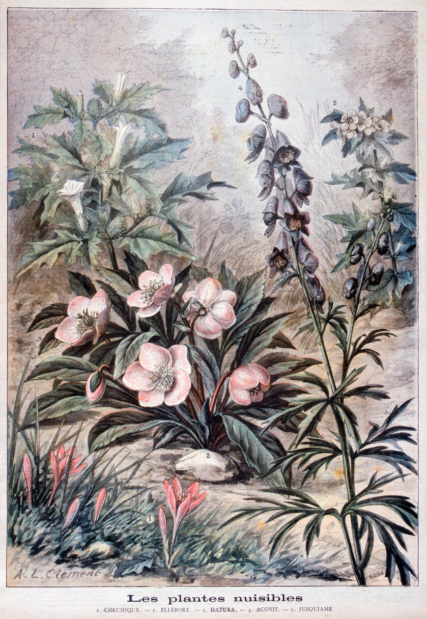 Harmful Plants by Fortuné Méaulle