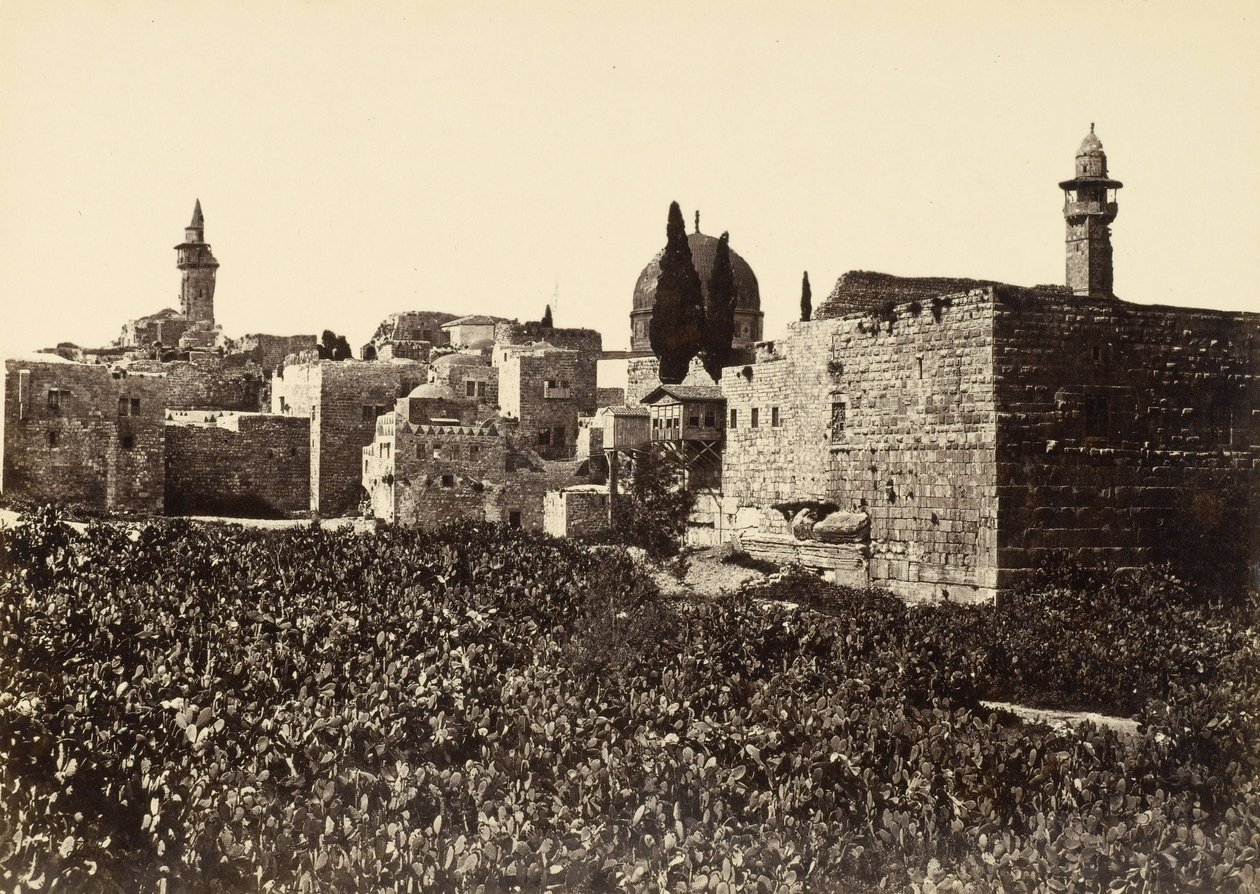 Waste Places in Jerusalem between Mount Zion and the Holy Temple by Francis Frith