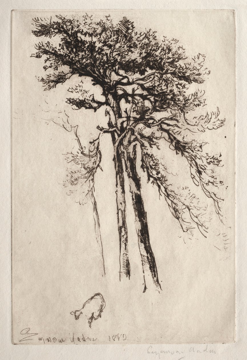 The Latest Tree by Francis Seymour Haden