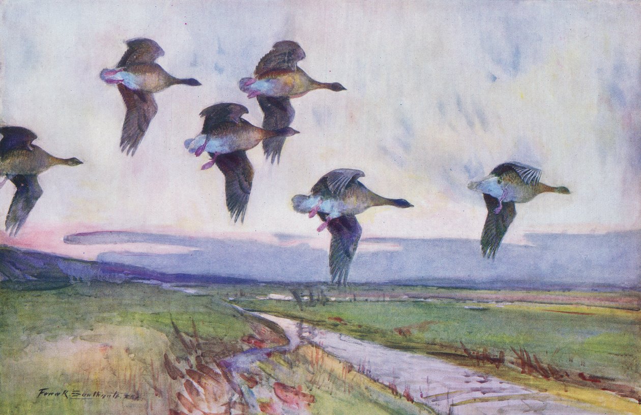 The Evening Flight by Frank Southgate