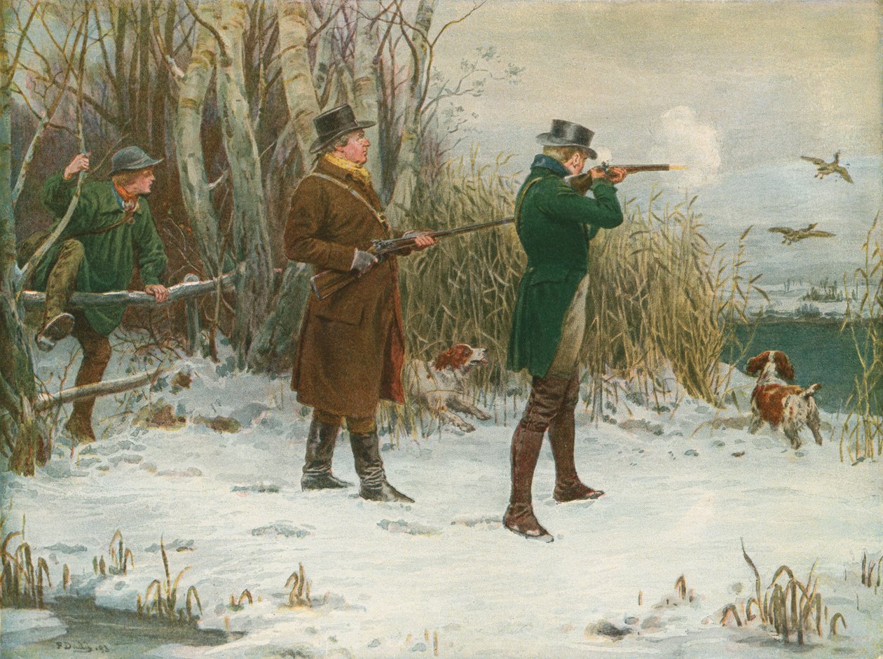 Wild Duck Shooting at Christmas Time by Frank Dadd